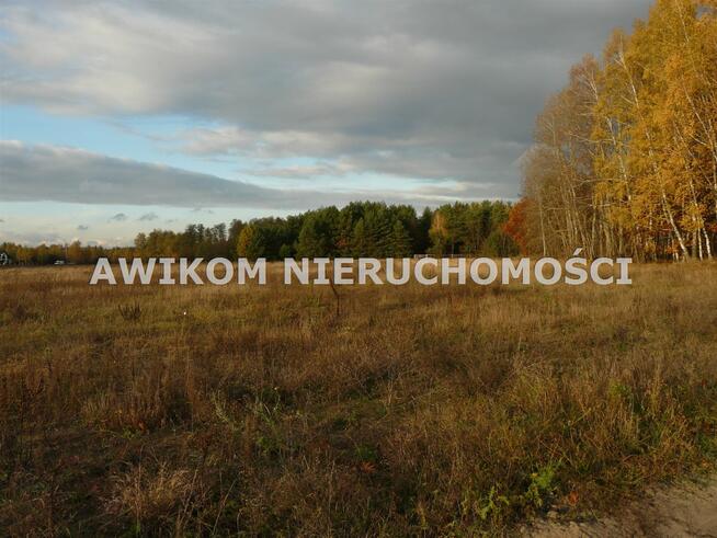 Działka rekreacyjna Puszcza Mariańska