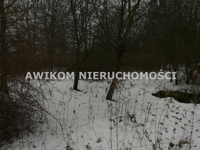 Działka rolna Skierniewice