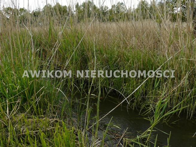 Działka budowlana Sewerynów gm. Nowy Kawęczyn