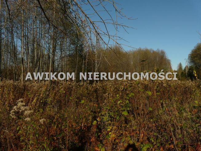 Działka rekreacyjna Budy Zaklasztorne gm. Puszcza Mariańska