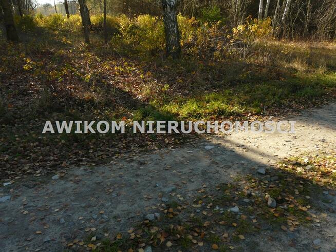 Działka rekreacyjna Budy Zaklasztorne gm. Puszcza Mariańska