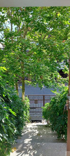 Mieszkanie Poznań Poznań-Jeżyce, Poznań-Jeżyce