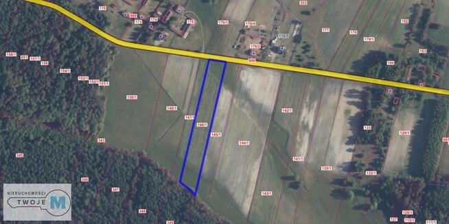 Działka rekreacyjna Kluczewsko Stanowiska