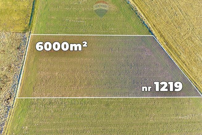 Okazja cenowa! Duża działka - Chocianowiec