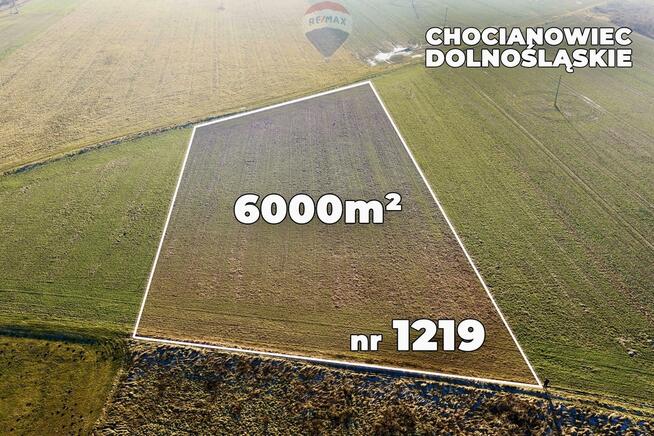 Okazja cenowa! Duża działka - Chocianowiec