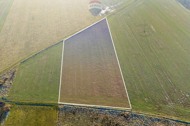 Okazja cenowa! Duża działka - Chocianowiec