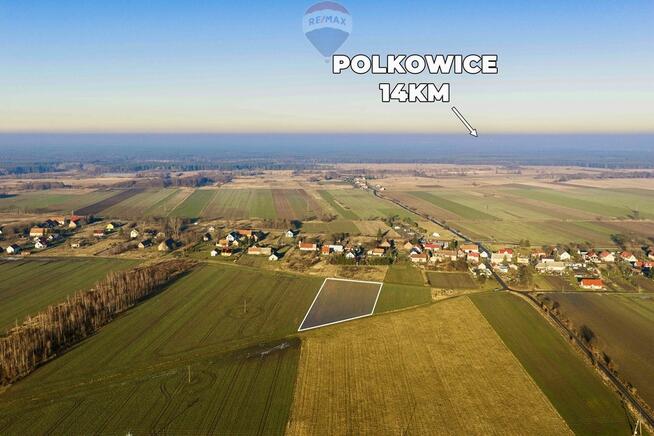 Okazja cenowa! Duża działka - Chocianowiec
