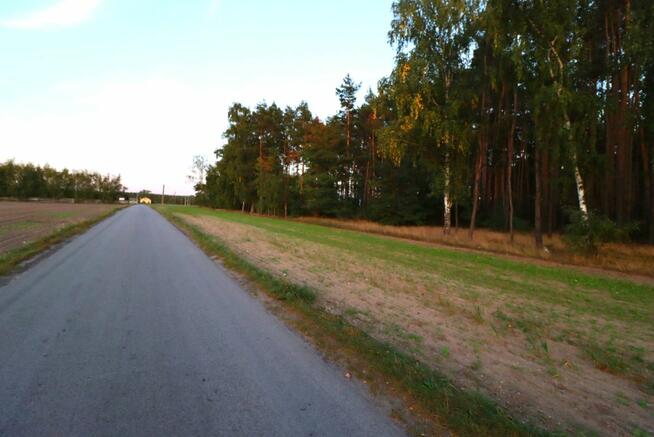 Działka inwestycyjna Kania gm. Ostrowite,