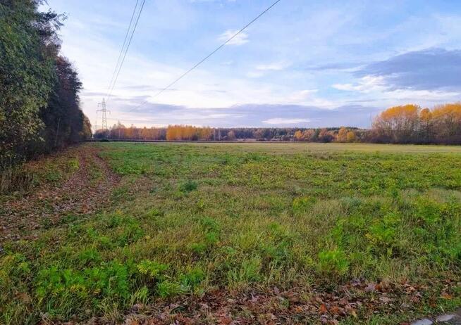 Działka inwestycyjna Kosewko gm. Pomiechówek,