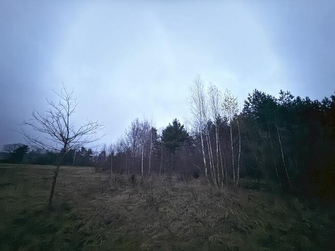 Działka rolna Borkowo gm. Nasielsk,