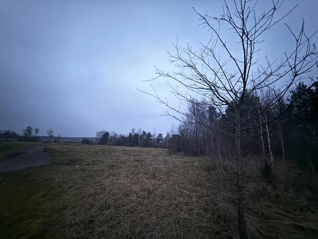 Działka rolna Borkowo gm. Nasielsk,