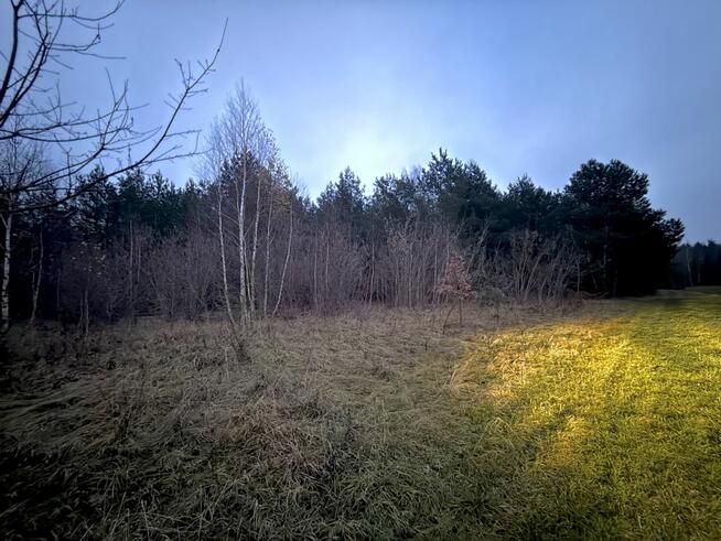 Działka rolna Borkowo gm. Nasielsk,