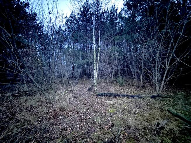 Działka rolna Borkowo gm. Nasielsk,