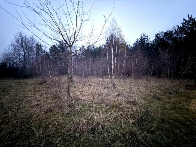 Działka rolna Borkowo gm. Nasielsk,