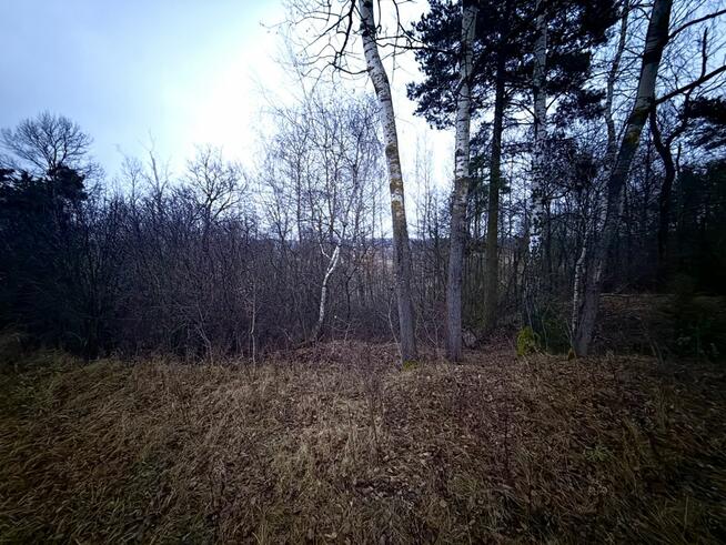 Działka rolna Borkowo gm. Nasielsk,