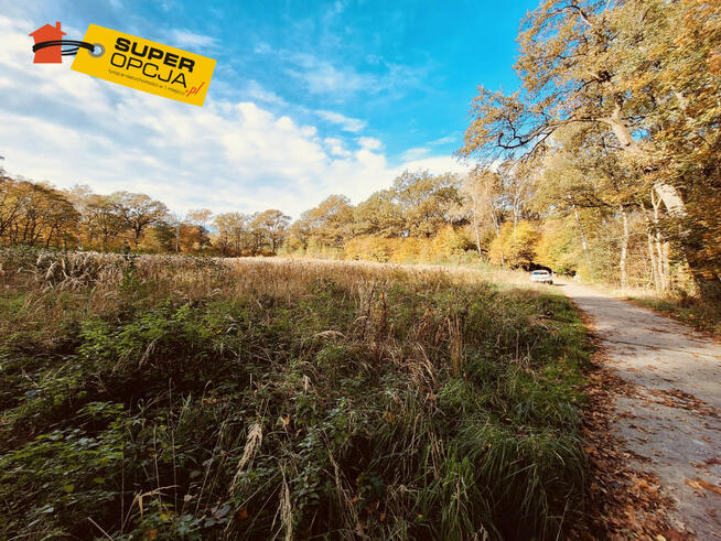 Działka budowlana Tarnów,