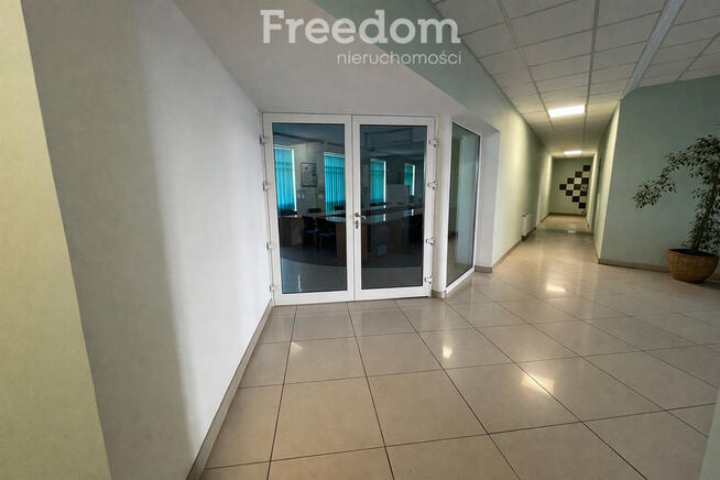 Lokale biurowe w centrum, ul. Wilsona