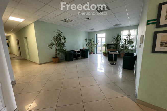 Lokale biurowe w centrum, ul. Wilsona