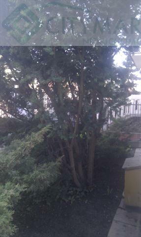 Lokal użytkowy Warszawa Wilanów, Wilanów