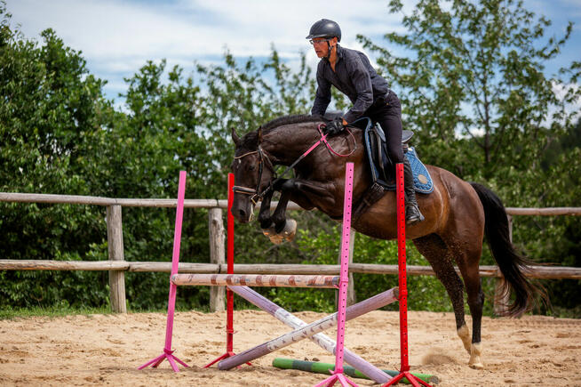 Baklava wszechstronna klacz- jeździec Adam Susłowski
