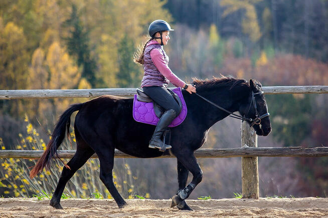 Durango kuc Connemara