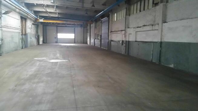 Hala produkcyjno-magazynowa 570 m² z dwiema suwnicami 5T