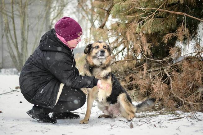 Johny-niewidomy pies czeka na spokojny i wyrozumiały dom