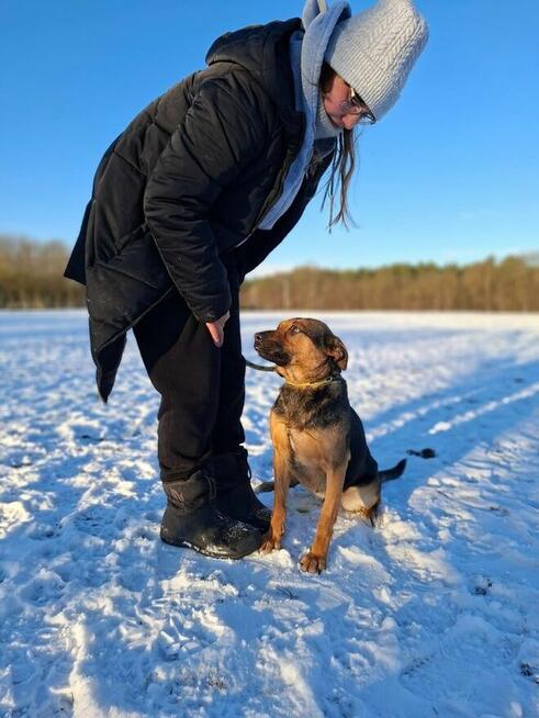 Sonia-młoda średniej wielkości suczks do adopcji
