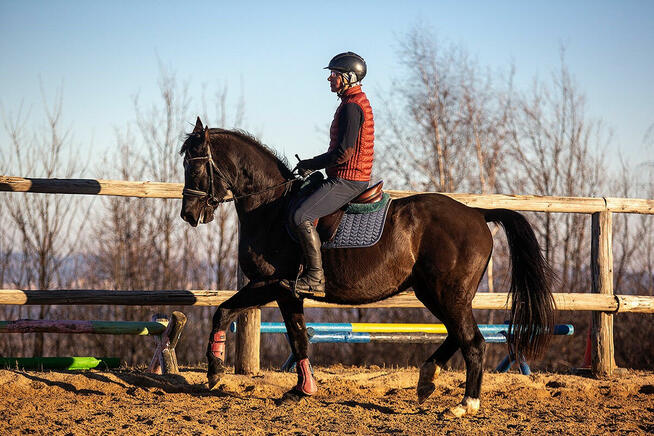 Baklava wszechstronna klacz- jeździec Adam Susłowski