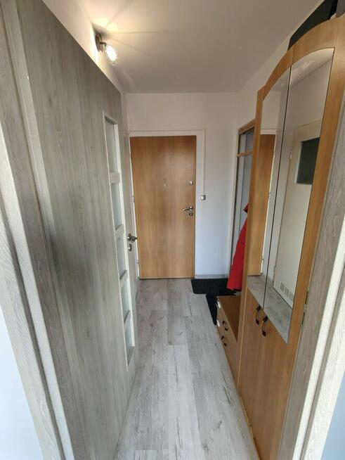 Mieszkanie na wynajem