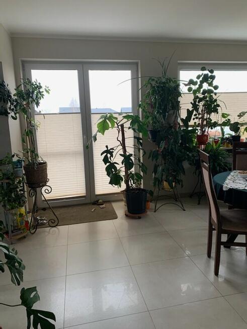 Wiskitki - nowy, wykończony dom na dużej działce