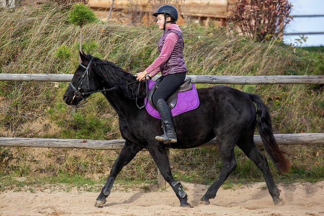 Durango kuc Connemara