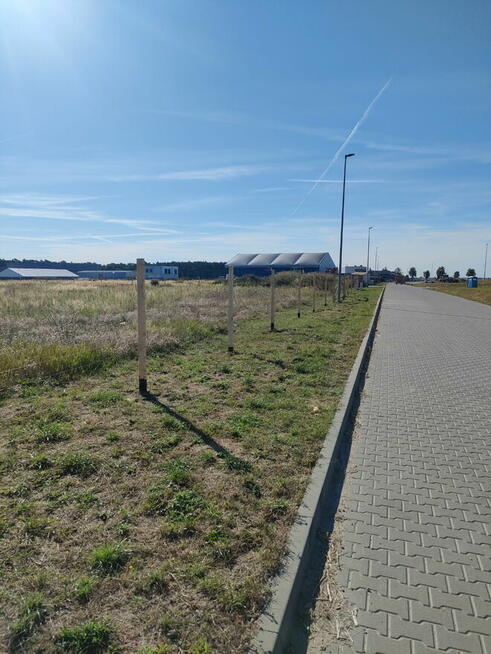 Land+foundation+permits+plans