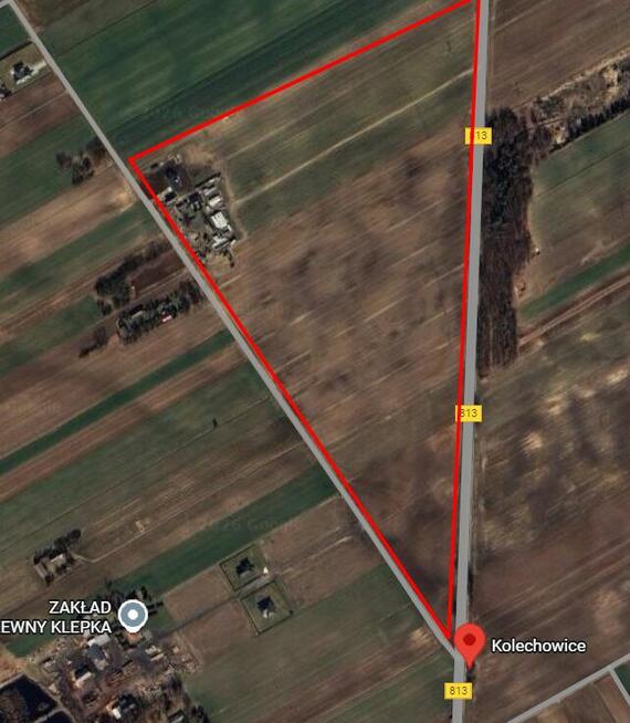 Działka rolna 1,5 ha Kolechowice