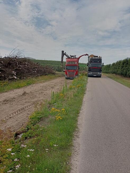 WYCINKA DRZEW, KARCZOWANIE,ZRĘBKOWANIE