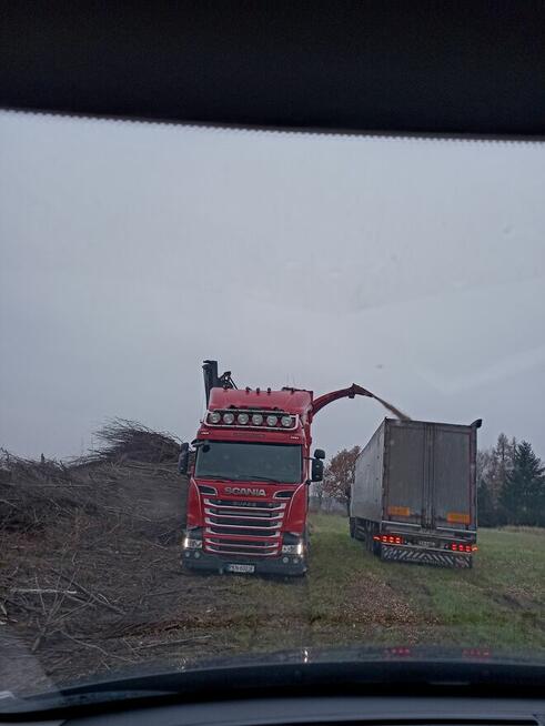 WYCINKA DRZEW, KARCZOWANIE,ZRĘBKOWANIE