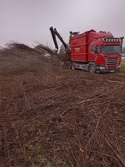WYCINKA DRZEW, KARCZOWANIE,ZRĘBKOWANIE