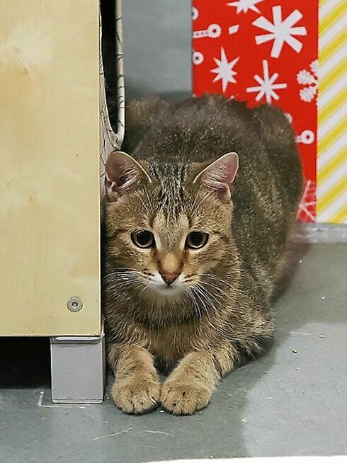 Martin co kocha wszystkich szuka domu