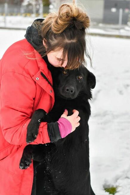 Rakija-młoda, czarna, aktywna suczka czeka na dom