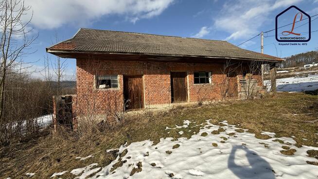 Działka o pow. 61 ar . Trzetrzewina gm. Chełmiec