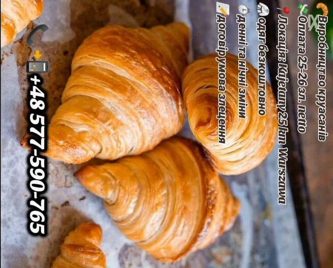 Praca na już wyprodukowanie croissantów