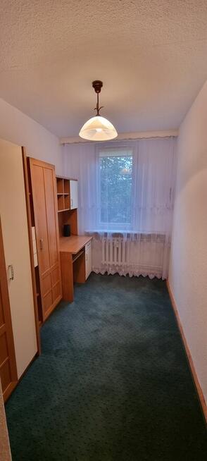 3 pokoje bezpośrednio