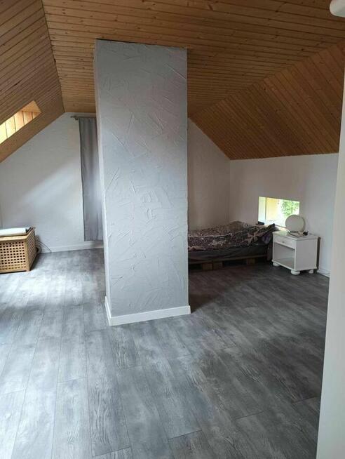 Wynajmę dom w lesie – Dębniak, gm. Zgierz – 100 m²