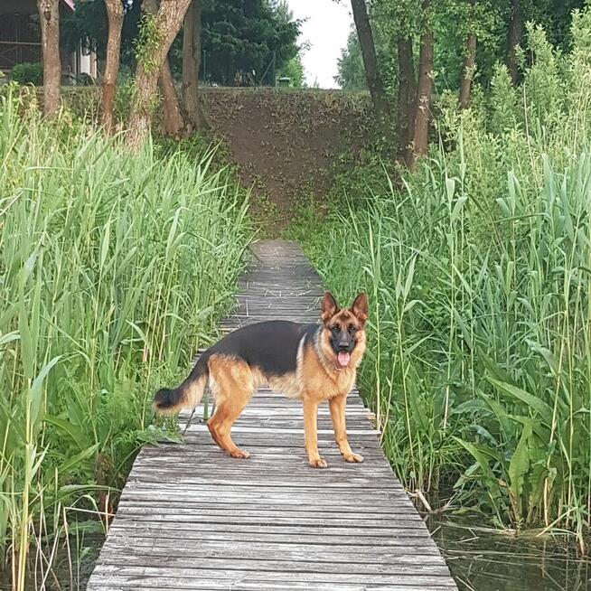 Dom na Mazurach Alicja