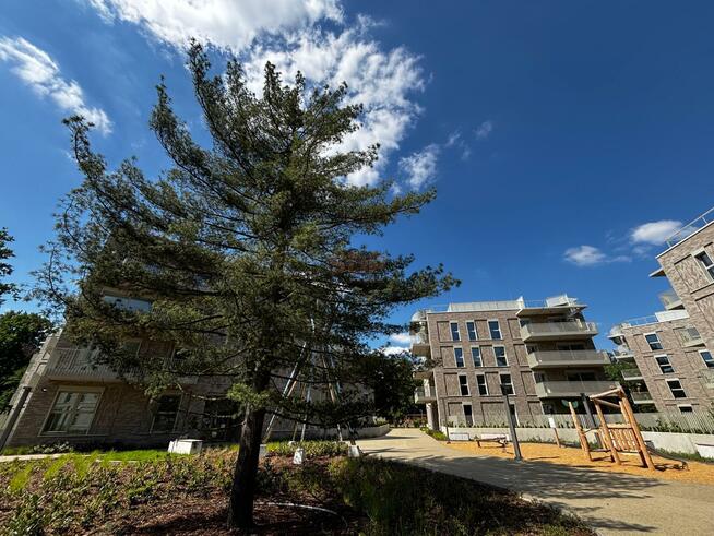 Mieszkanie Wrocław Śródmieście, Zacisze, Różyckiego Ludomira