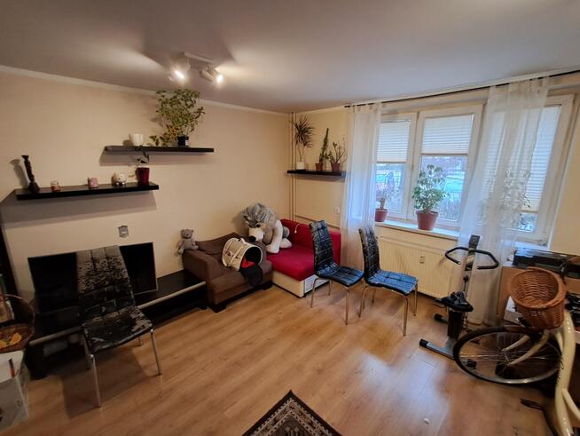 Mieszkanie 52m2 Gliwice centrum bez pośrednika