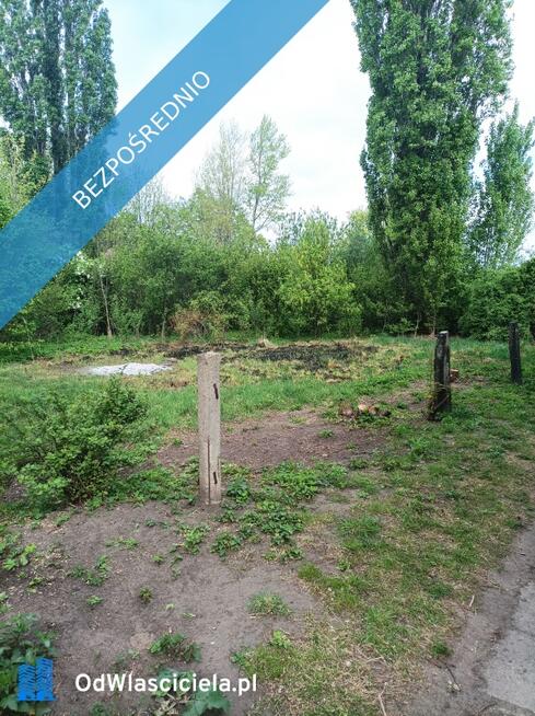 sprzedam udział 60%