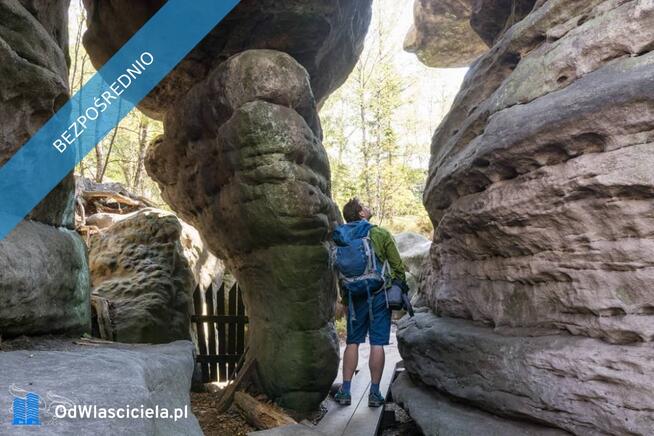 Sprzedam piekna posiadlosc obok Polanicy-Zdroju-GORY-SUDETY