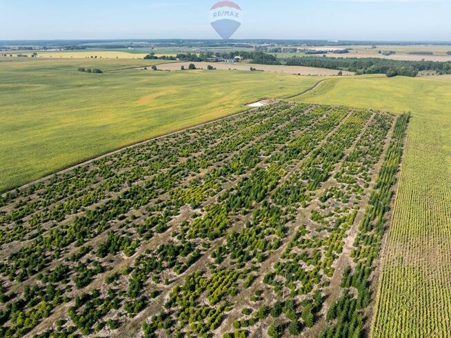 Inwestycyjna rolna działka Łubowice obok Poznania