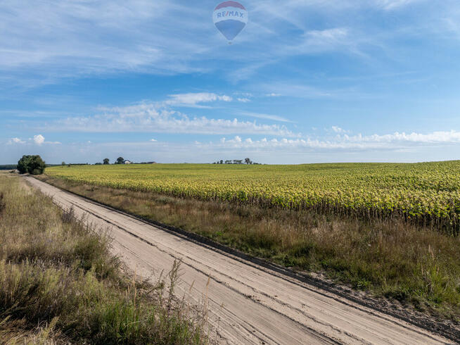 Inwestycyjna rolna działka Łubowice obok Poznania